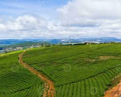 Hình ảnh về Lam Dong landscape